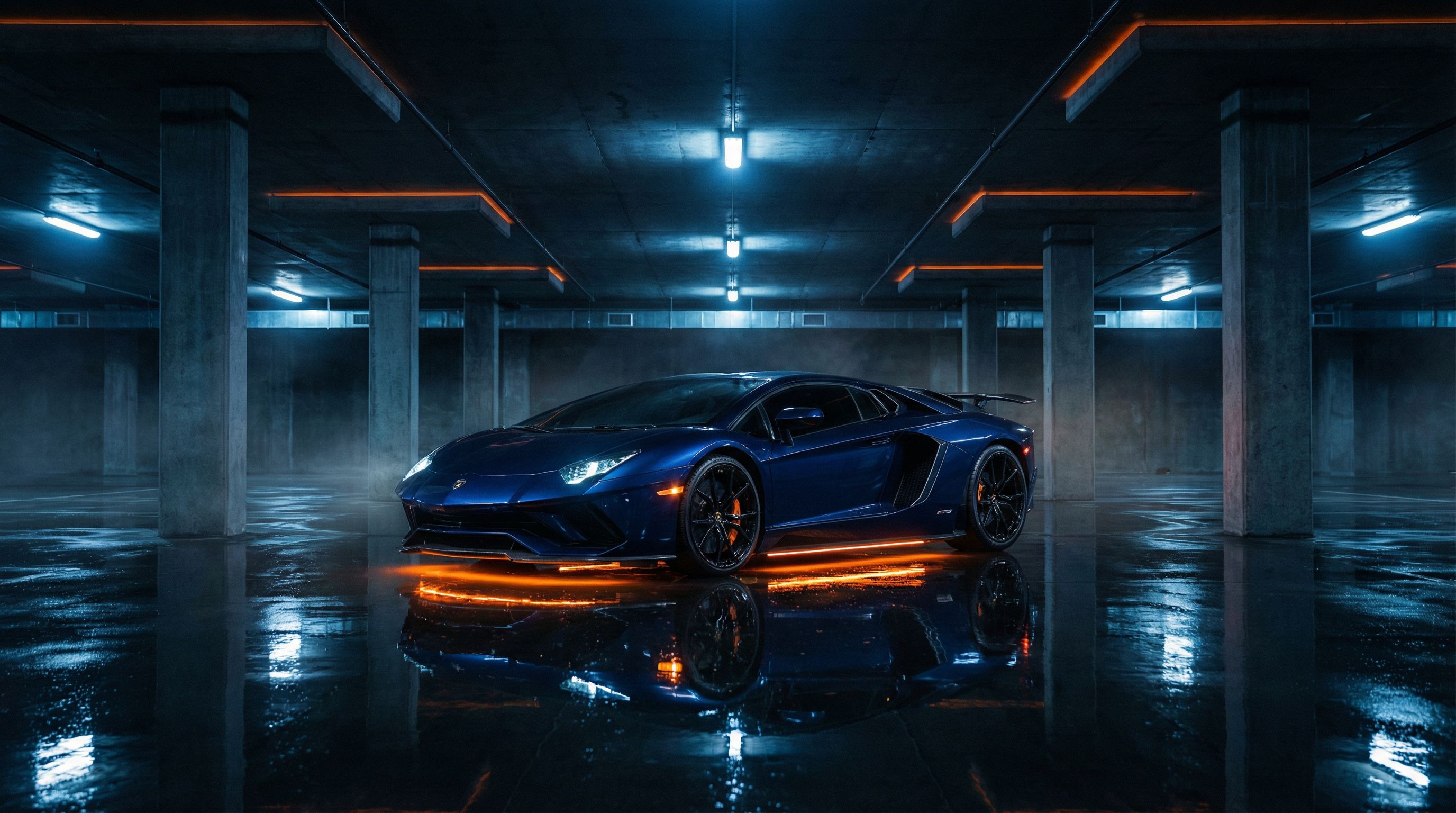 蘑菇视频品牌故事